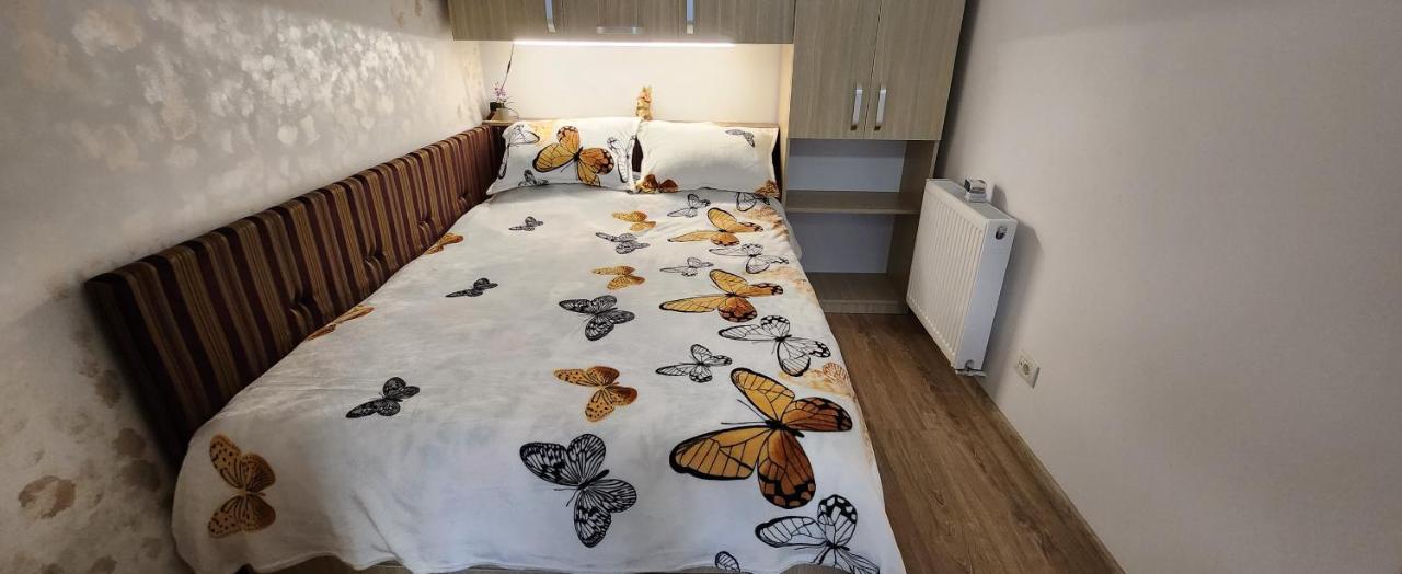 Butterfly Apartment Timişoara Eksteriør bilde