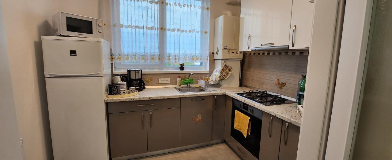 Butterfly Apartment Timişoara Eksteriør bilde