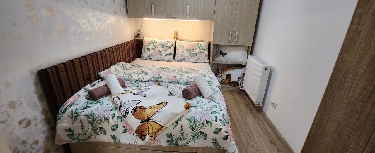 Butterfly Apartment Timişoara Eksteriør bilde