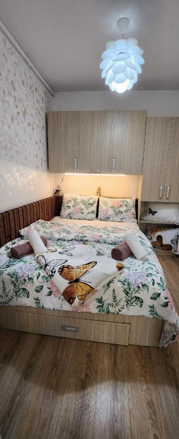 Butterfly Apartment Timişoara Eksteriør bilde