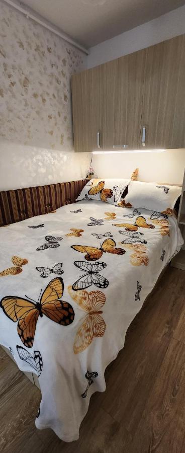 Butterfly Apartment Timişoara Eksteriør bilde
